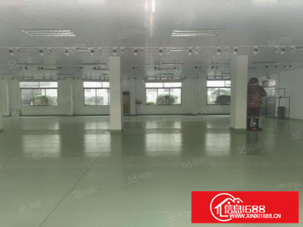 桥头镇大洲村原房东出租独立厂房一二楼2000平米,豪华装修