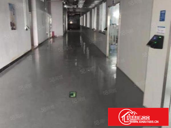 厂房出租,全新装修,形象好,空地大,水电到位!白菜价