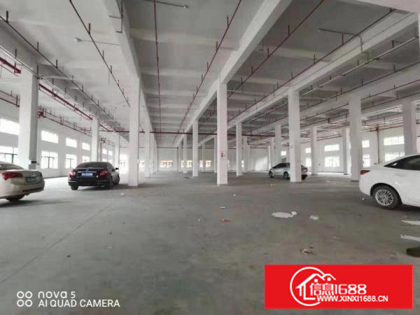 【一楼6米高,可分租】科苑城6800平方独栋标准厂房,临深圳