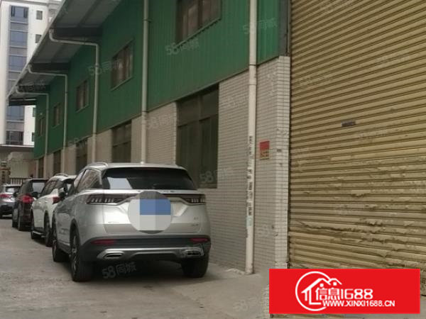 原房东)大朗新出钢构单一层厂房1250平,0公摊,可分租