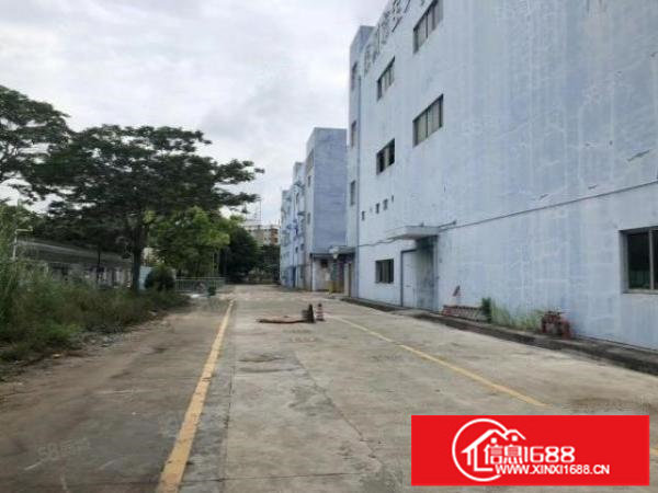 龙华大浪原房东新出一楼480平低价出租