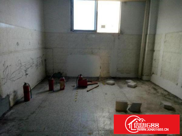 松岗大田洋220平标准厂房出租,公摊小,便利,实图