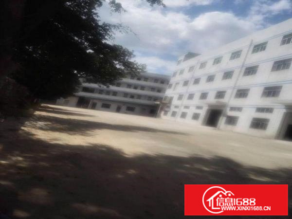 业主独门独院厂房打包出租