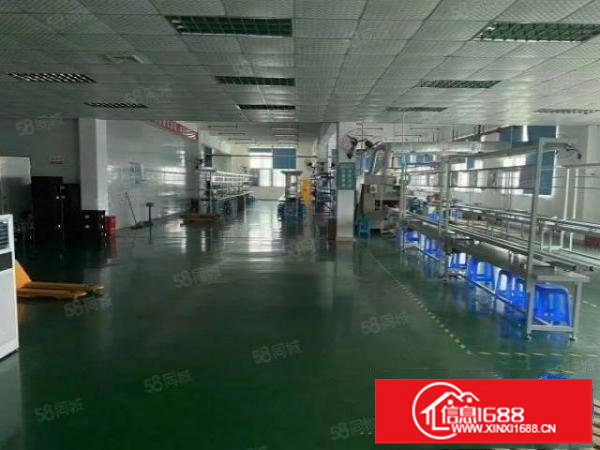 大浪华荣路650平精装修厂房出租