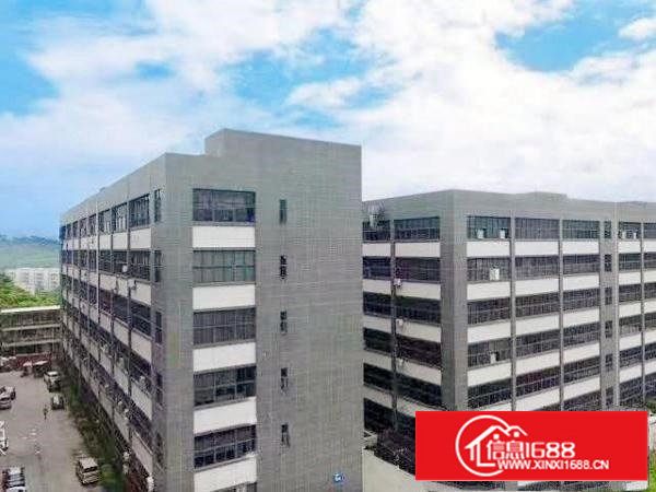 清溪三中高薪科技园一楼1000平,带三部航车航车