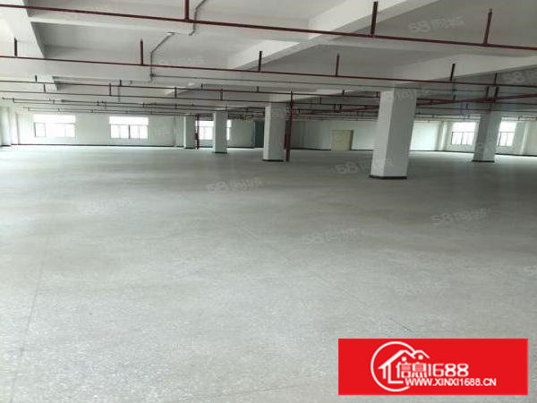 谢岗厂房出租一楼600平方原房东实际面积15块钱平方