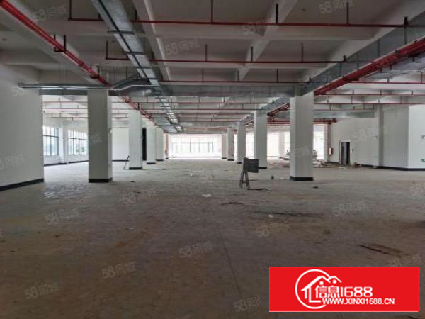 全新红本工业园原房东直租10万平方米智能产业园区5G网络覆