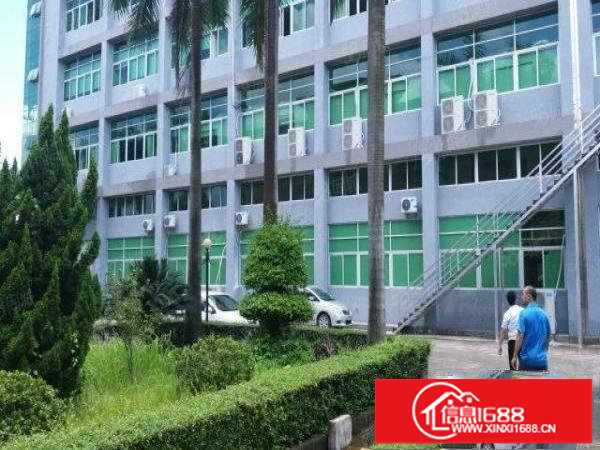 近白泥坑300,500,1000平米厂房带装修