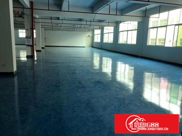 靠深圳3楼1300平!全新装修无公摊只租15