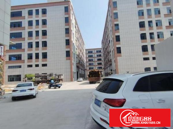 常平红本工业豪华装修厂房1000㎡起租,位于工业聚集地