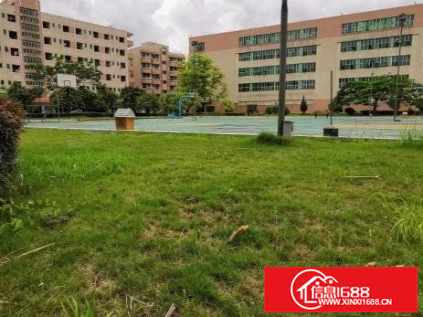 观澜工业园独院10万平精装厂房仓库出租300平起分租一楼厂房