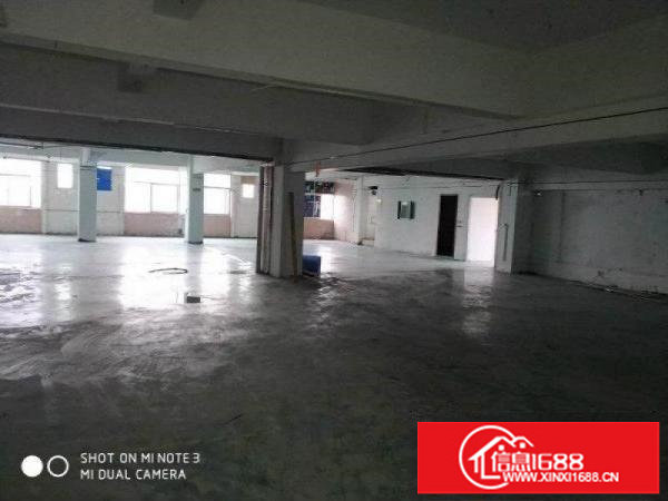 松岗大田洋2160平厂房火热出租,可分割,价格实惠