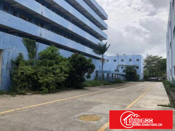 龙华大浪原房东新出一楼480平低价出租