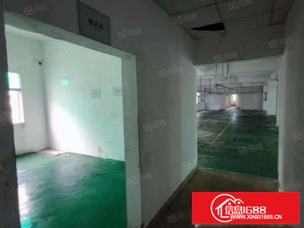 凤岗.靠近深圳原房东楼上1000平方实际面积出租无公摊小独院