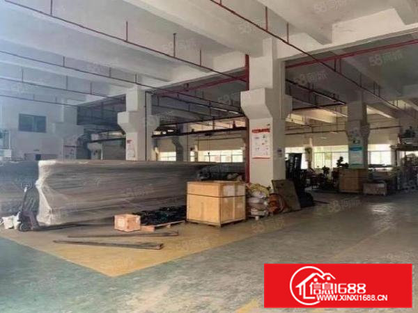 桥头原房东7米高一楼厂房1500平方,消防喷淋,主线到位