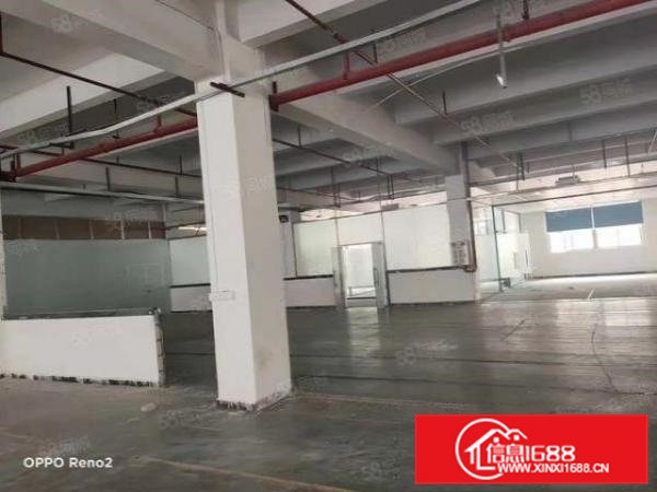 大朗镇一楼1600富民工业城工业聚集地出租可分租