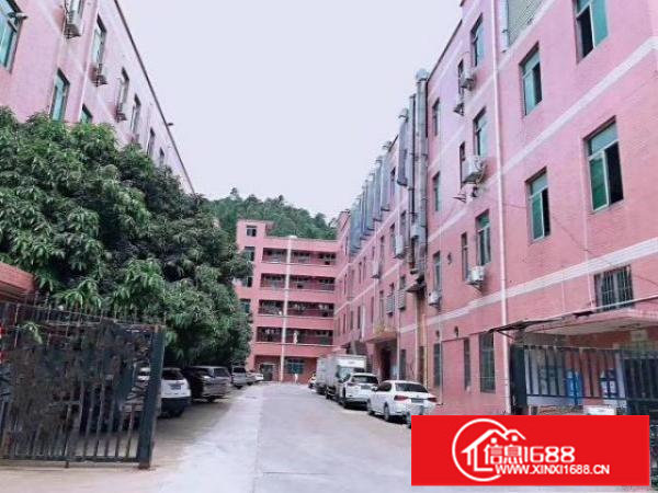 大量横岗独门独院厂房、仓库出租3000-13000㎡