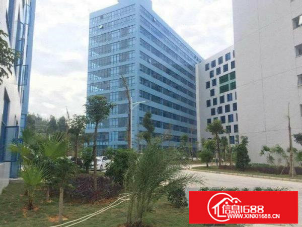 龙岗中心城全新科技园30000平全面隆重招租