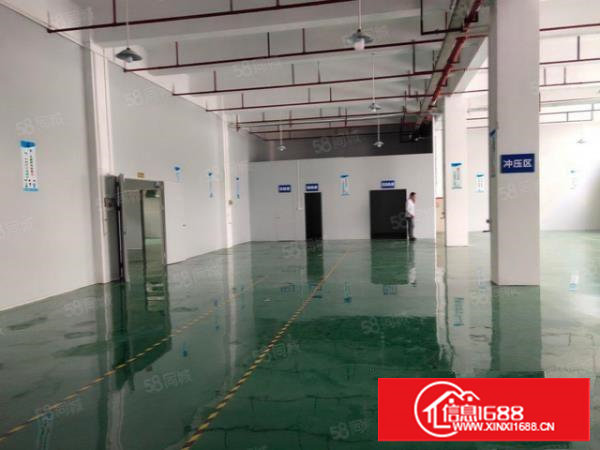 塘厦科苑城新出700平一楼,装修新净,原房东实际面积出租