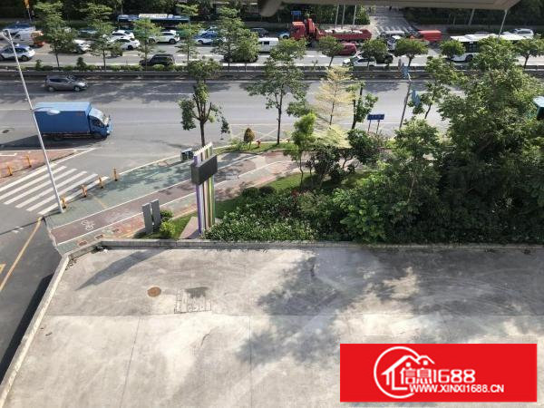 布龙路主道旁一楼商铺1800平,4S店名车广场汽车维修等