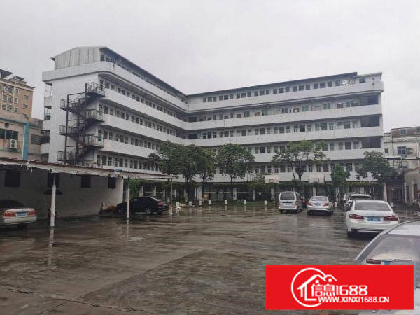 寮步镇原房东独院标准厂房出租空地大形象佳交通方便可办环评