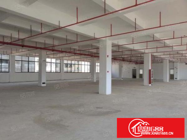 布吉木棉湾电商仓库出租1至5楼单层面积1000平100平起分