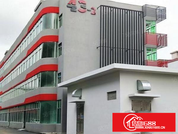 常平国际创新港厂房1451平业主直租交通便利配套服务齐全