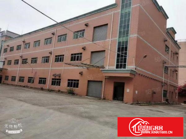 大小分租清溪三中独院3层9000平厂房仓库出租空地大