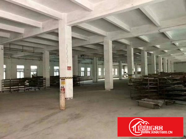 清溪铁松工业园有一楼标准厂房900平方带办公室装修