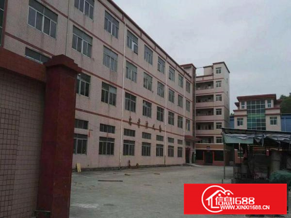 惠州市镇隆高速路口红本厂房9800平方标准厂房出租