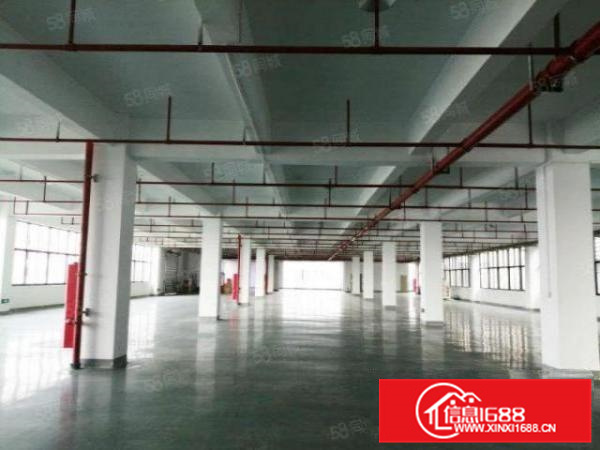 独门独院带现成办公，龙江工业区5000方标准厂房带地坪漆展厅