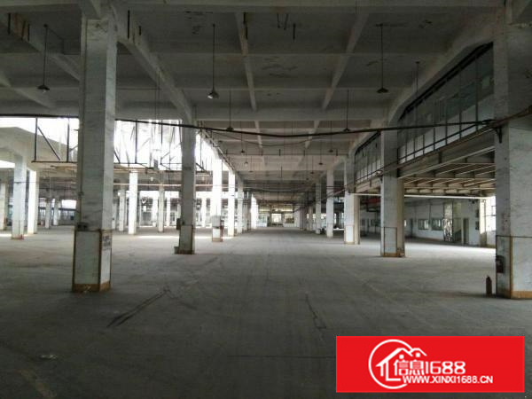 沥林工业区原房东独院标准厂房26600平方，高十米