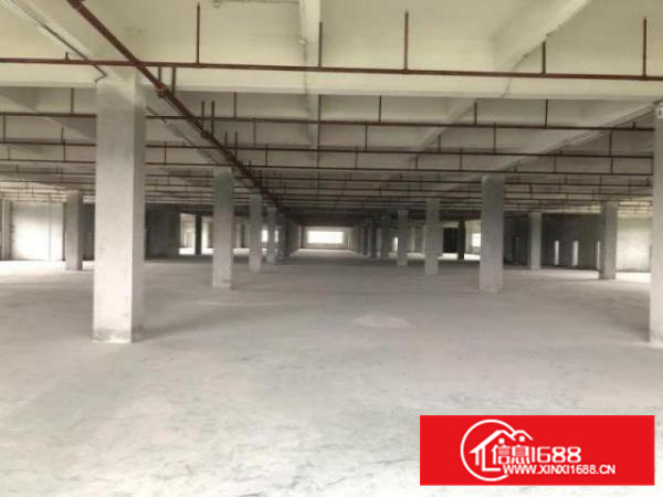 万江工业区标准厂房楼上1500平方出租、可分租适合仓库、贸易