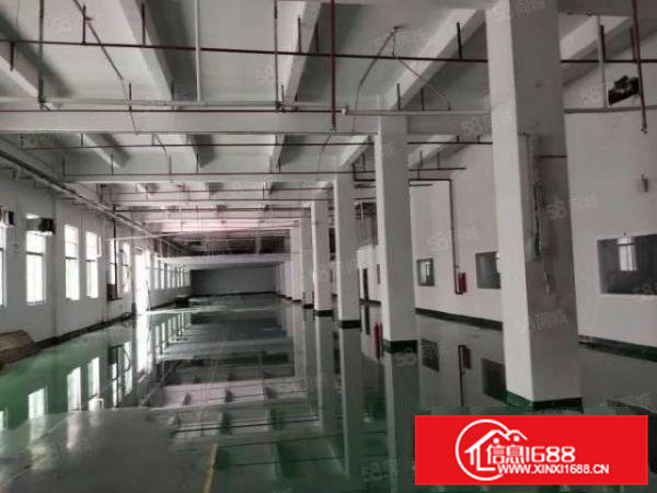 凤岗金凤凰工业区一楼1800平滴水6米厂房出租