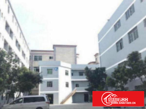 万江工业区2楼1100平米个人独院标准厂房招租